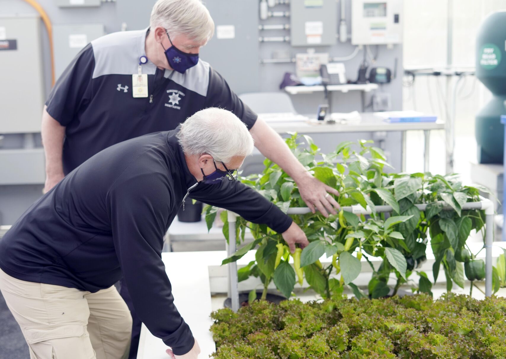 CORRECTIONSGREENHOUSE-13.jpg